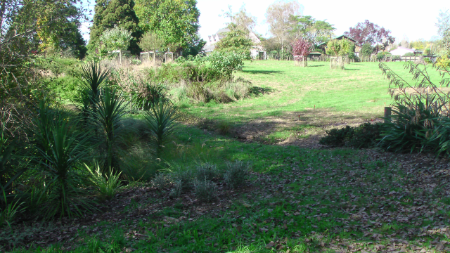 The field 1. Cambridge Tree Trust